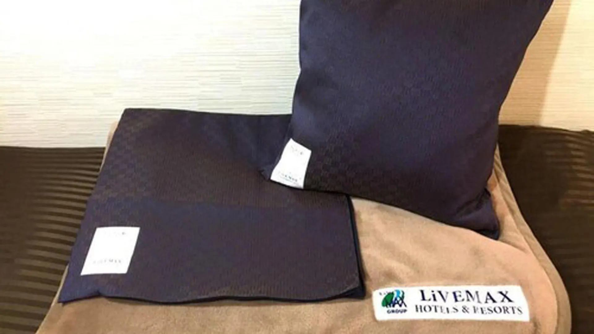 HOTEL LiVEMAX BUDGET Nagoya Taikodori Japan